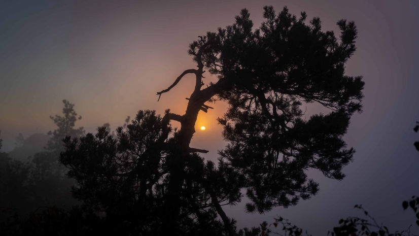 Hochzeitsfotografie, Hochzeitsfotograf, Fotograf, Schöne Bilder, Foto Tobi, Foto-Tobi, Freizeitfotografie, Natur, Landschaft, 